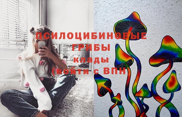 PSILOCYBIN Новодвинск