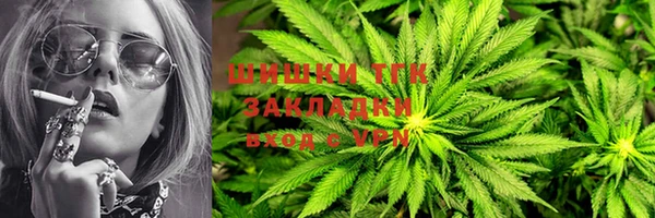 PSILOCYBIN Новодвинск