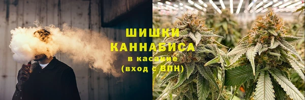 PSILOCYBIN Новодвинск