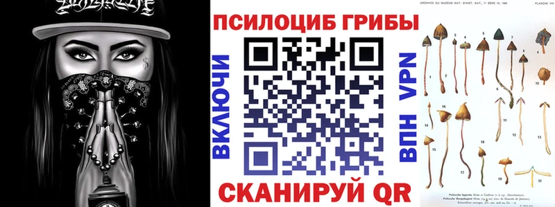 Галлюциногенные грибы прущие грибы закладка hydra ТОР Оса
